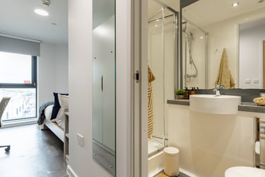 Accessible Platinum En Suite - Image 8